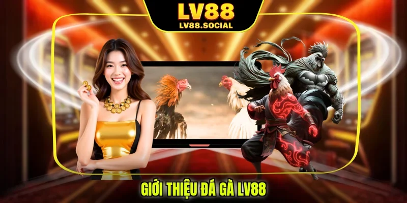 Giới thiệu đá gà LV88